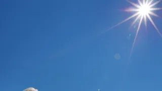 Pštrosi - život v běhu