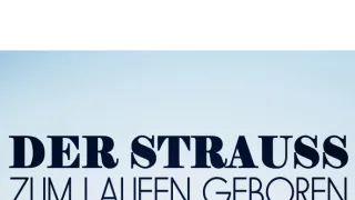 Pštrosi - život v běhu