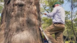 Největší apokalypsy dějin II (3/6)