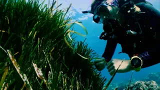 Putování podél moří (2)