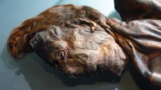 Keltové proti Římanům (3/3)