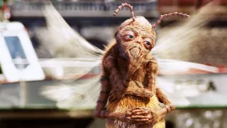 Tajemství a smysl života