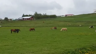 Na cestě po západním Islandu