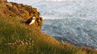 Na cestě po západním Islandu