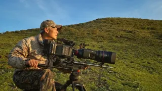 Levhart sněžný a přátelé