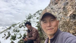 Levhart sněžný a přátelé