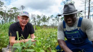 Americké ostrovy s Martinem Clunesem (1/4)