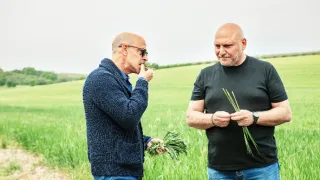 Stanley Tucci a všechny chutě Itálie II