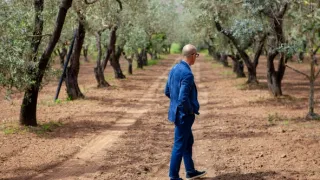 Stanley Tucci a všechny chutě Itálie II