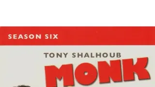 Můj přítel Monk VI (7)