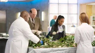 Tělo jako důkaz II (13)