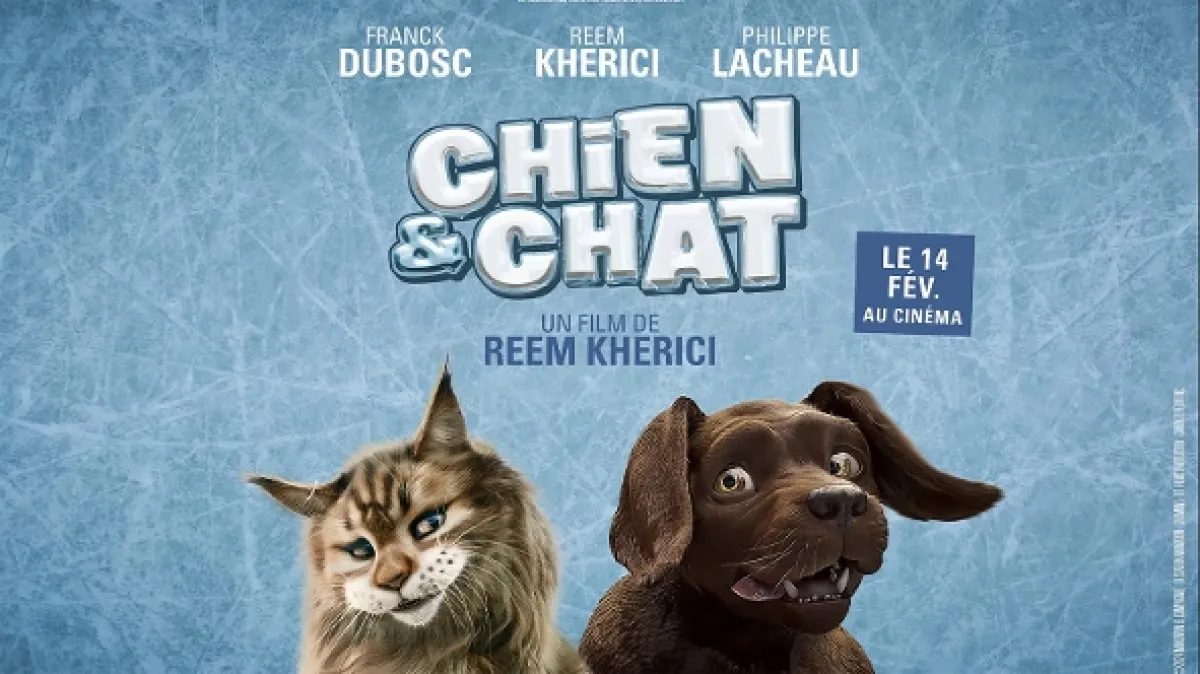 Mačka a pes: Bláznivé dobrodružstvo (Cat and Dog), 2024 - fotogaléria