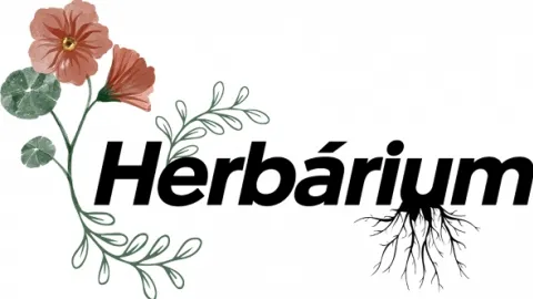 Herbárium