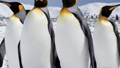 Nejdivočejší místa naší planety (5)