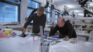 Vikingové: Nové objevy