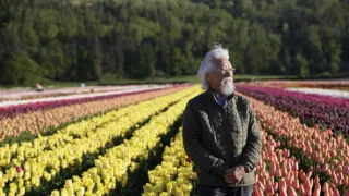 Barvy v našem životě