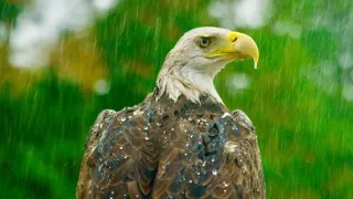 Řeka Hudson - mezi divočinou a mrakodrapy