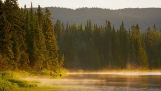 Řeka Hudson - mezi divočinou a mrakodrapy