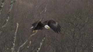 Řeka Hudson - mezi divočinou a mrakodrapy