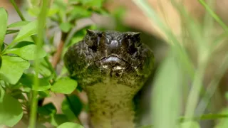 Řeka Hudson - mezi divočinou a mrakodrapy