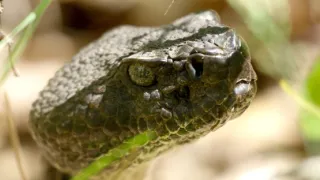 Řeka Hudson - mezi divočinou a mrakodrapy