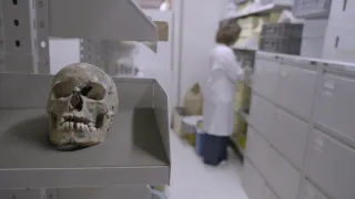 Odhalené krásy Pompejí (2/2)