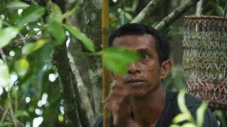 Magalhaesova plavba kolem světa