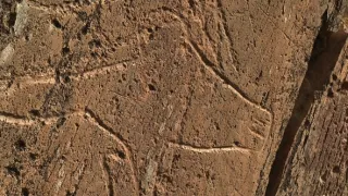 Na cestě po údolí řeky Douro