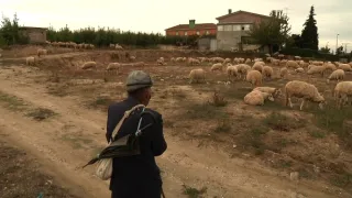 Na cestě po údolí řeky Douro