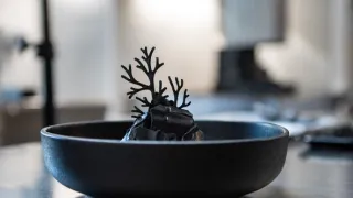 Stanley Tucci a všechny chutě Itálie II