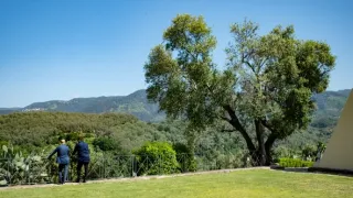 Stanley Tucci a všechny chutě Itálie II