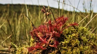 Jizerské hory - príbeh jedinečnej krajiny (1/2)