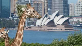 Skvosty světového stavitelství