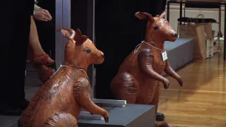 Na cestě po Jižní Austrálii