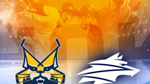 Hokej - Tipsport liga