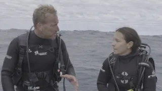 Svět ohrožených druhů (3)