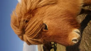 Malé ostrovy Velké Británie (1/4)