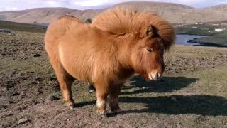 Malé ostrovy Velké Británie (1/4)