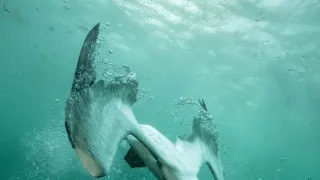 Malé ostrovy Velké Británie (1/4)