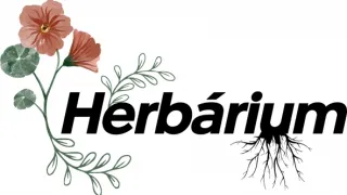 Herbárium