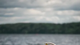 Královská pavučina (2/4)