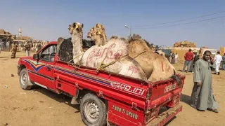 Najnebezpečnejšie cesty sveta III