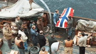 Konvoj: Ľadová pasca