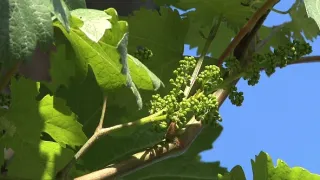 Na cestě po Podravsku