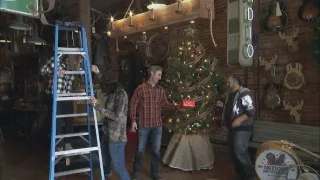 Američtí sběratelé XVII (3)