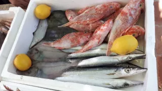 Vůně albánské kuchyně s Miroslavem Donutilem