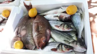 Vůně albánské kuchyně s Miroslavem Donutilem