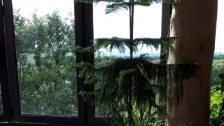 Vůně albánské kuchyně s Miroslavem Donutilem