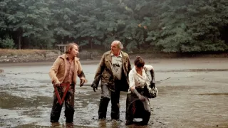 Návštěvníci (14/15)