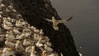 Malé ostrovy Velké Británie (2/4)